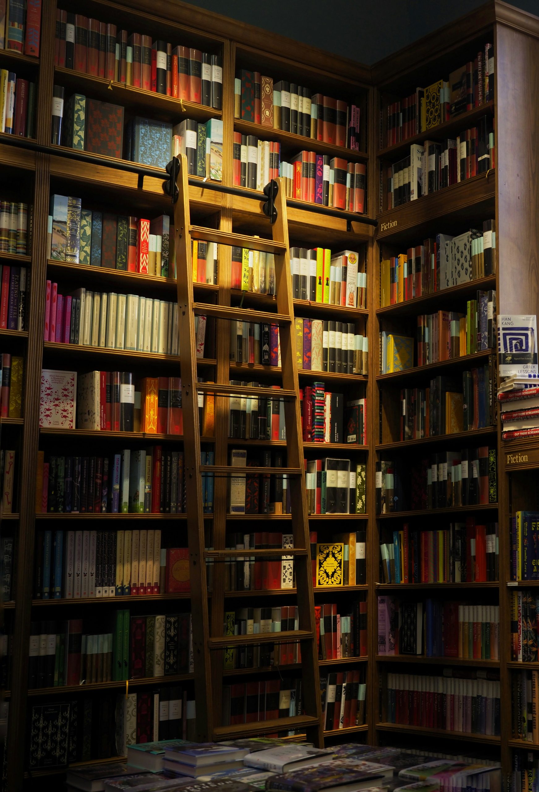 Reading List: Decolonial Feminisms — 10 Essential Texts