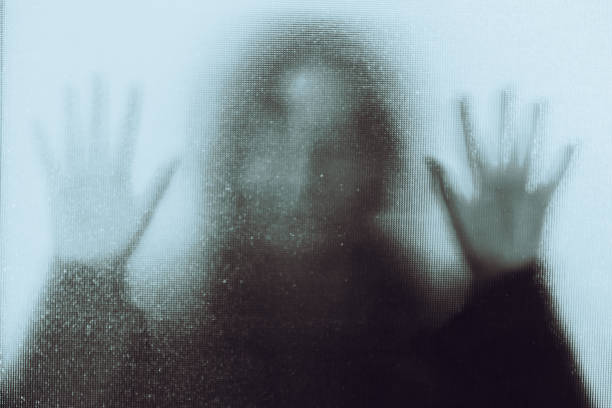 The House Inside Me Remembers a Woman