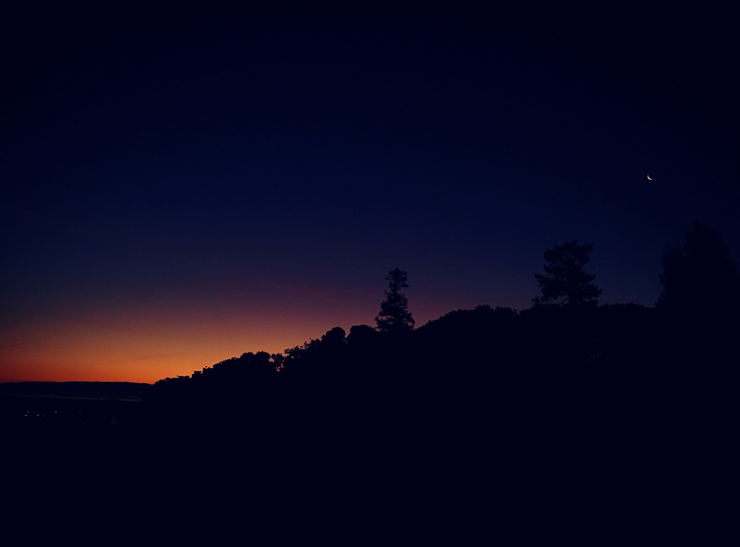 Before Dawn